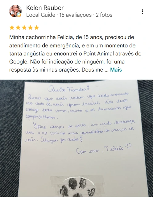 Avaliação real de tutor no Google