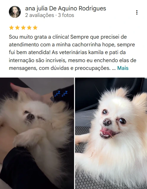 Avaliação real de tutor no Google
