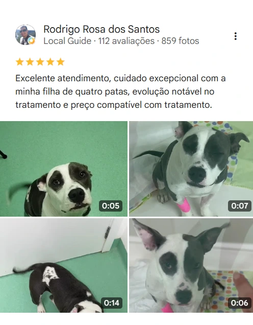 Avaliação real de tutor no Google
