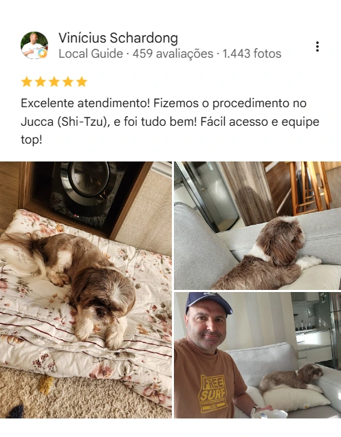 Avaliação real de tutor no Google