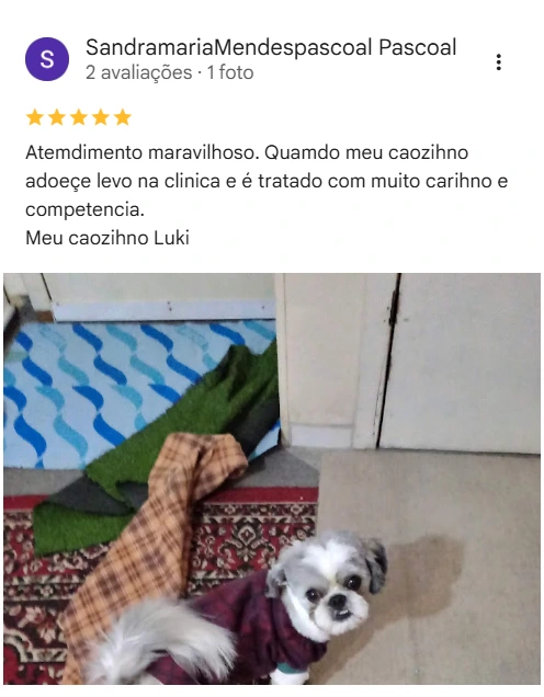 Avaliação real de tutor no Google
